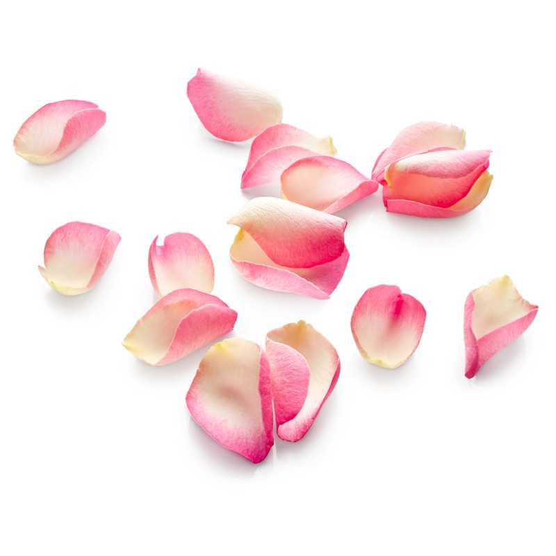 FLEUR COMESTIBLE PETALE DE ROSE RAVIER